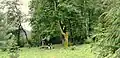 Ukraine. Skole Raion. Resting place next to the highway Lviv - Uzhhorod.