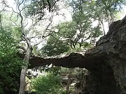 Cave entrance
