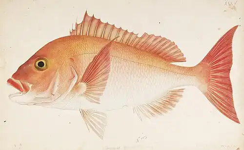 Painting by Kawahara Keiga (1786–1860)