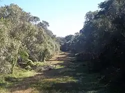 View of the Black River