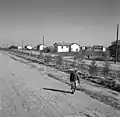Netavim in 1958