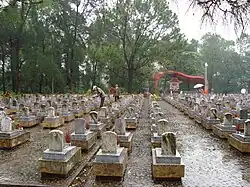 The cemetery.