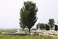 'Lobel', Nine Elms British Cemetery, Poperinge (2009)