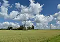 Wheat fields in Kose