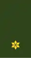 Tweede Luitenant (Suriname Army)[47]