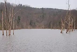 North Bend Lake