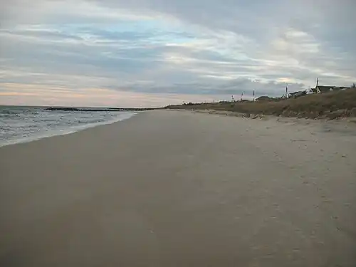 Shoreline near the ferry terminal