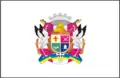 Flag of Zviahel