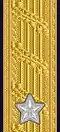 Shoulder mark (Navy)[g] (2000–present)