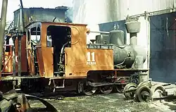 Asembagus 11