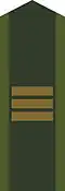 Collar patch m/1958