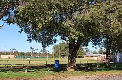 Australian rules football ground, 2009