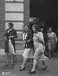 7 - 1933