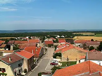 A view within Ochey