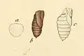 Life cycle