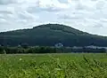 Malberg