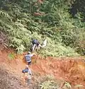 Old and rugged path.