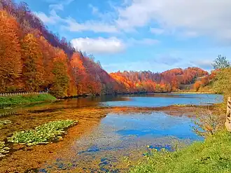 Ordu Gölköy