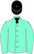 Aquamarine, black cap