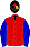 Red, blue sleeves, red armlets, black cap