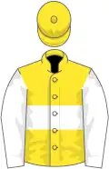 Yellow, white hoop and sleeves