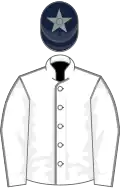 White, grey seams, dark blue cap, grey star