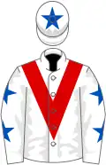 White, red chevron, white sleeves, royal blue stars, white cap, royal blue star
