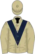 Beige, dark blue chevron