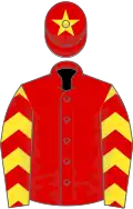RED, yellow sleeves, red chevrons, red cap, yellow star