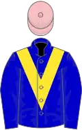 Blue, yellow chevron, pink cap