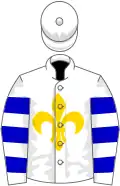 White, gold fleur de lys, blue hooped sleeves