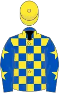 Royal blue and yellow check, royal blue sleeves, yellow stars, yellow cap