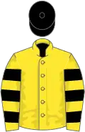 Yellow, black hooped sleeves, black cap
