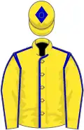 Yellow, blue seams and diamond on cap