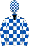 ROYAL BLUE and WHITE CHECK