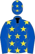 ROYAL BLUE, yellow stars, royal blue sleeves, yellow stars on cap