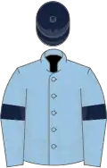 Light blue, light blue sleeves, dark blue armlets, dark blue cap