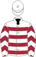 White, maroon hoops, chevrons on sleeves