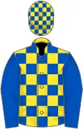 Yellow and royal blue check, royal blue sleeves, check cap