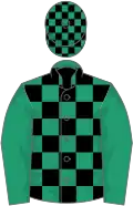 Emerald green and black check, emerald green sleeves