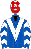ROYAL BLUE, white chevron and chevrons on sleeves, red cap, white spots