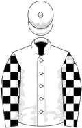 White, black and white checked sleeves