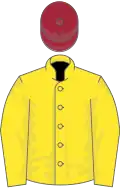 Yellow, maroon cap