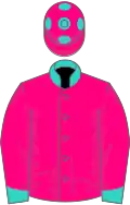 Rose du bari, turquoise collar, cuffs and spots on cap