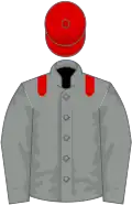 Grey, red epaulets and cap