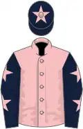 Pink, dark blue sleeves, pink stars, dark blue cap, pink star
