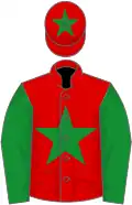 Red, green star, green sleeves, red cap, green star