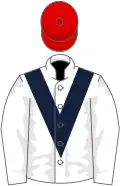 White, dark blue chevron, red cap