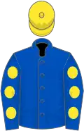 Blue, blue sleeves, yellow spots, yellow cap