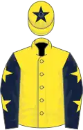 Yellow, dark blue sleeves, yellow stars, yellow cap, dark blue star
